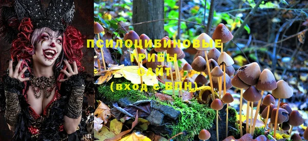 герыч Бронницы